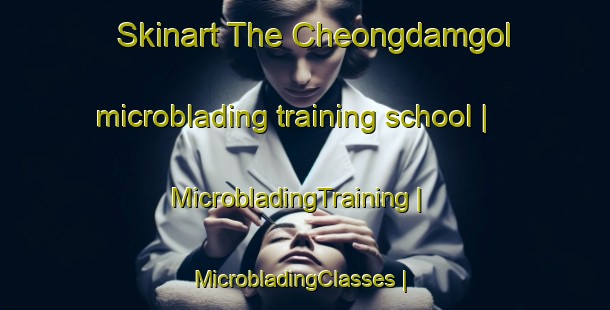 Skinart The Cheongdamgol microblading training school | MicrobladingTraining | MicrobladingClasses | SkinartTraining-Republic of Korea